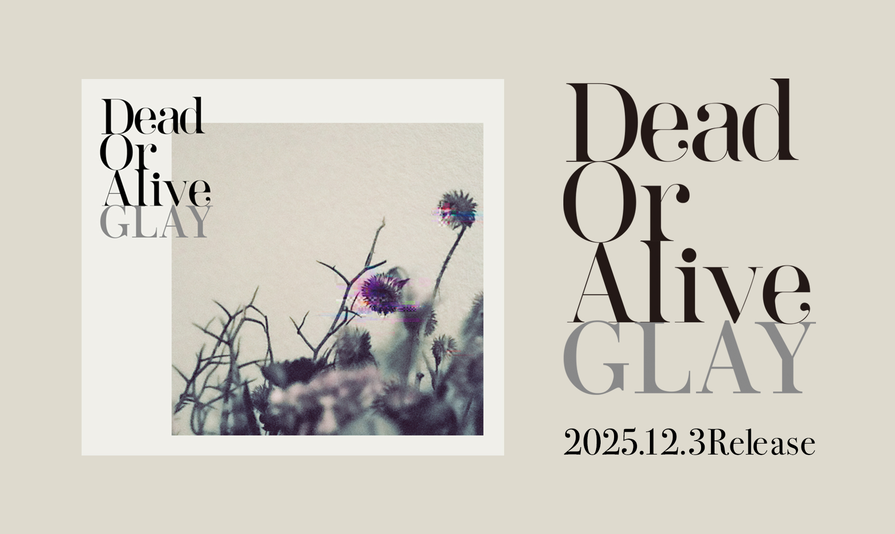 63rd Single『Dead Or Alive』